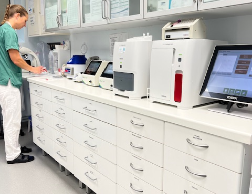 Personal i laboratorium.