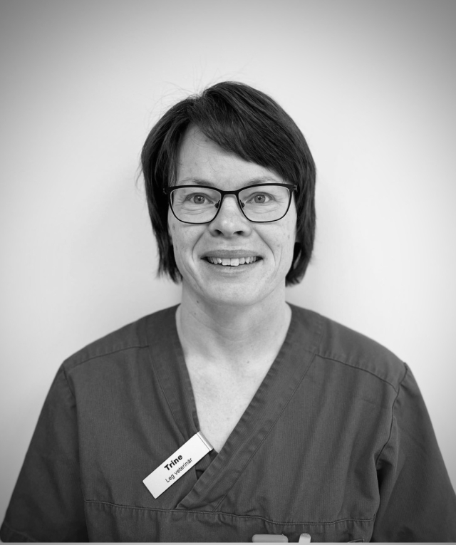 Trine Raustein